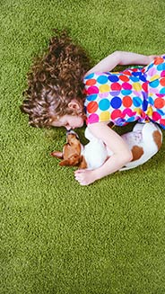 Carpet Cleaning Spring Hill FL