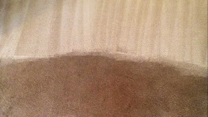 Dynamic Carpet Cleaning Tampa